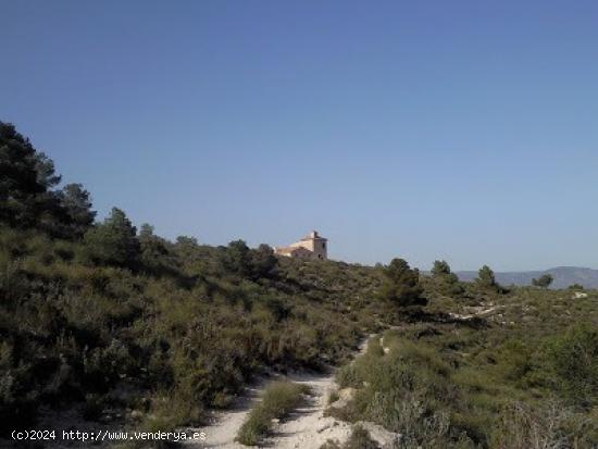 Finca Rustica de 12.000 hectareas entre Villena y La Cañada, ideal parques eólicos - ALICANTE