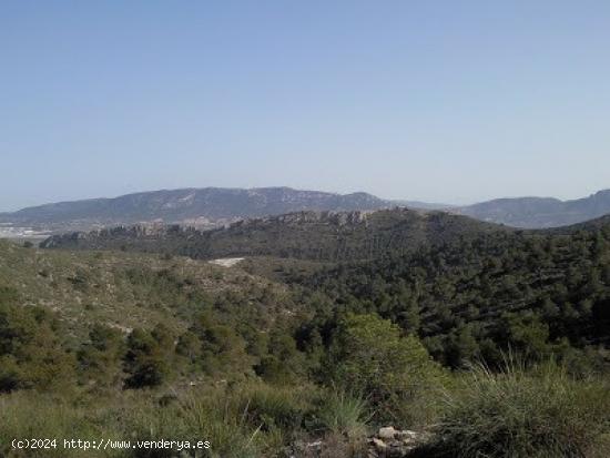 Finca Rustica de 12.000 hectareas entre Villena y La Cañada, ideal parques eólicos - ALICANTE