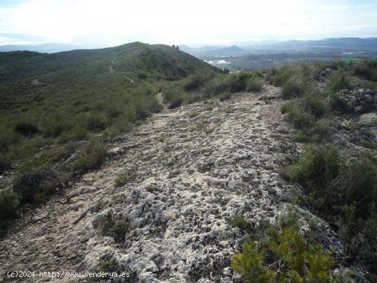 Finca Rustica de 12.000 hectareas entre Villena y La Cañada, ideal parques eólicos - ALICANTE