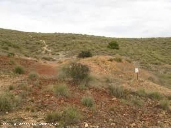 Finca Rustica de 12.000 hectareas entre Villena y La Cañada, ideal parques eólicos - ALICANTE