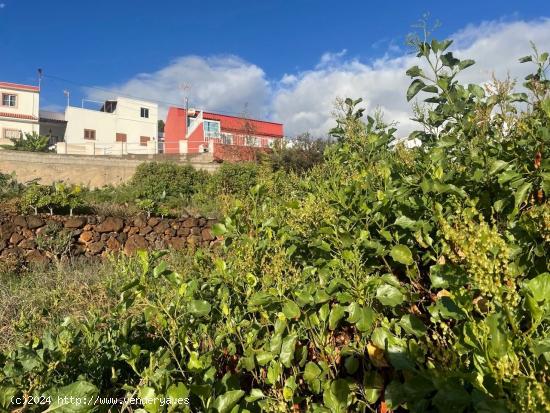 TERRENO URBANO EN CANDELARIA - SANTA CRUZ DE TENERIFE