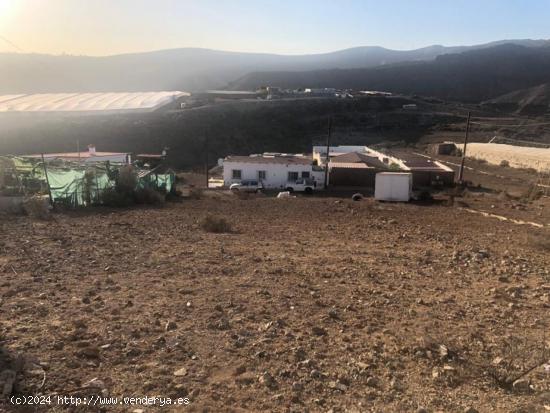 TERRENO EN MONTAÑA LA DATA - LAS PALMAS