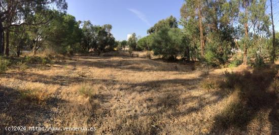  GRAN BAJADA DE PRECIO DE VENTA DE PARCELA DE 11254 M2 FINCA RÚSTICA EN LA REDONDELA - HUELVA 