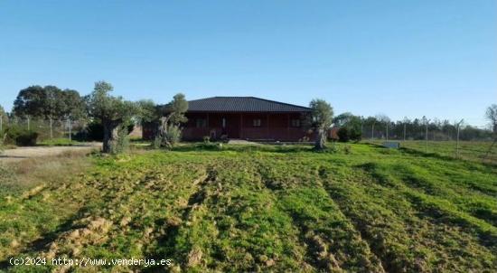  VENTA DE FINCA RÚSTICA CON CASA DE MADERA EN GIBRALEÓN (HUELVA) - HUELVA 