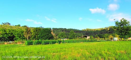  Tereno urbanizable con proyecto para una vivienda - CANTABRIA 