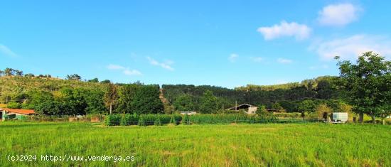 Tereno urbanizable con proyecto para una vivienda - CANTABRIA