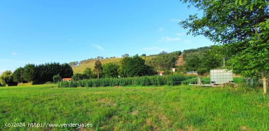 Tereno urbanizable con proyecto para una vivienda - CANTABRIA