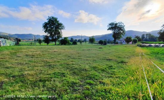 Tereno urbanizable con proyecto para una vivienda - CANTABRIA