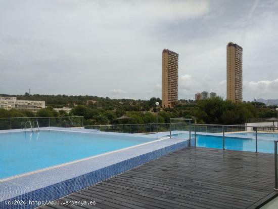 Apartamento de Lujo con Vistas a la Playa de Poniente - ALICANTE