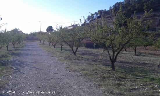 SE VENDEN PARCELAS URBANAS SIERRA DE RICOTE - MURCIA