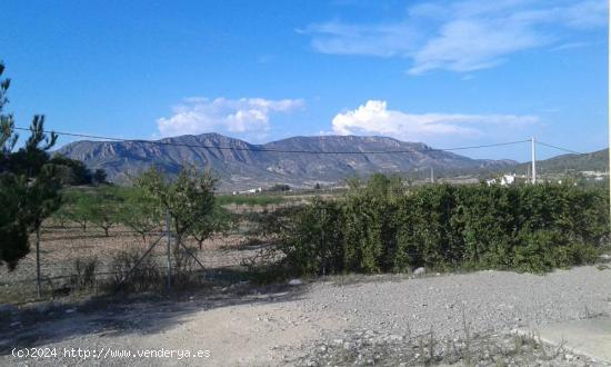 SE VENDEN PARCELAS URBANAS SIERRA DE RICOTE - MURCIA