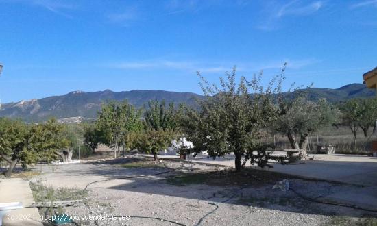 SE VENDEN PARCELAS URBANAS SIERRA DE RICOTE - MURCIA