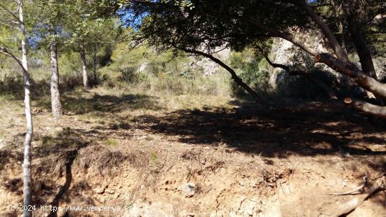 TERRENO URBANO A 5 KM DE GANDIA - VALENCIA