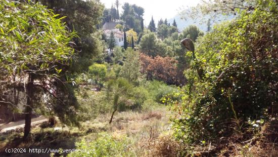 TERRENO URBANO A 5 KM DE GANDIA - VALENCIA