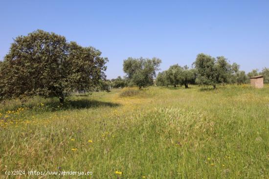 Se Vende en Esparragalejo - BADAJOZ