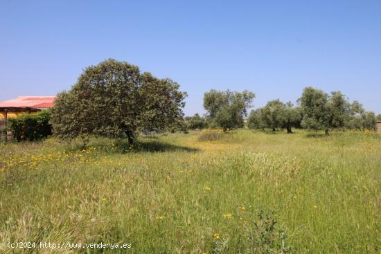 Se Vende en Esparragalejo - BADAJOZ