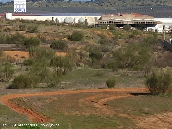 Estupendo terreno Industrial en el polígono el Prado en Mérida - BADAJOZ