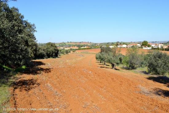 Terreno en alrededores de Don Álvaro! - BADAJOZ