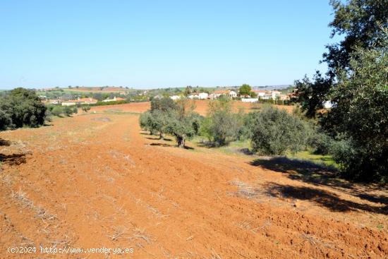 Terreno en alrededores de Don Álvaro! - BADAJOZ