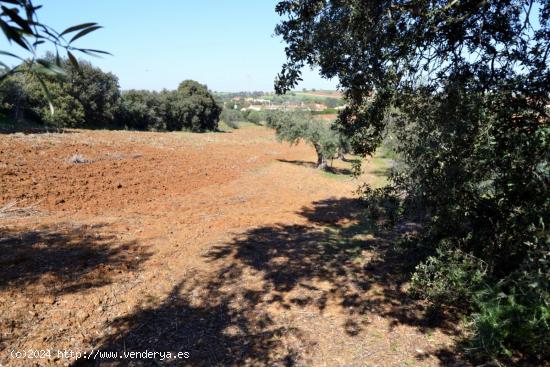 Terreno en alrededores de Don Álvaro! - BADAJOZ