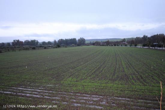 Suelo urbano en Aljucén - BADAJOZ