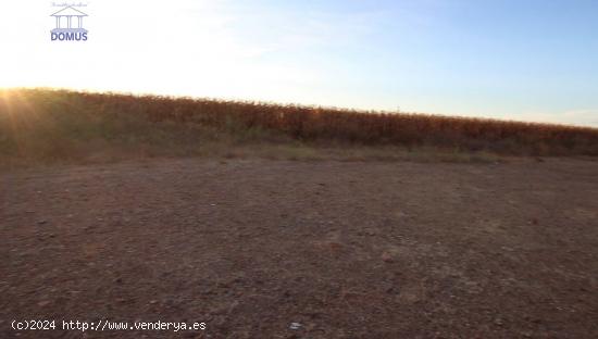 Estupendo solar en Montijo por el centro de Salud y junto a Puebla de la Calzada - BADAJOZ