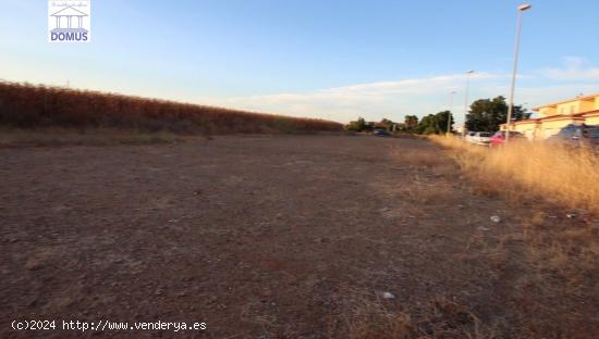 Estupendo solar en Montijo por el centro de Salud y junto a Puebla de la Calzada - BADAJOZ