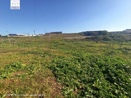 Estupendo terreno en Mérida - BADAJOZ