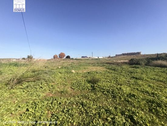 Estupendo terreno en Mérida - BADAJOZ