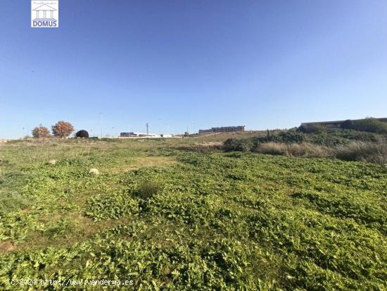 Estupendo terreno en Mérida - BADAJOZ