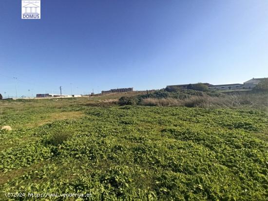 Estupendo terreno en Mérida - BADAJOZ