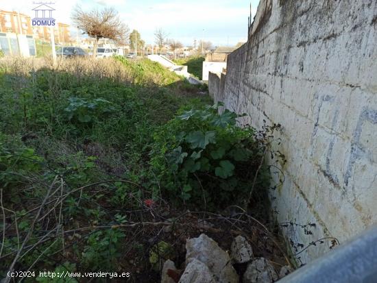 Terreno en Mérida - Corchera. - BADAJOZ