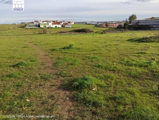 Terreno en la zona de Montealto - BADAJOZ