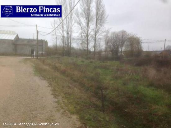 Se vende finca de 2500m2 en San Andres de Montejos - LEON