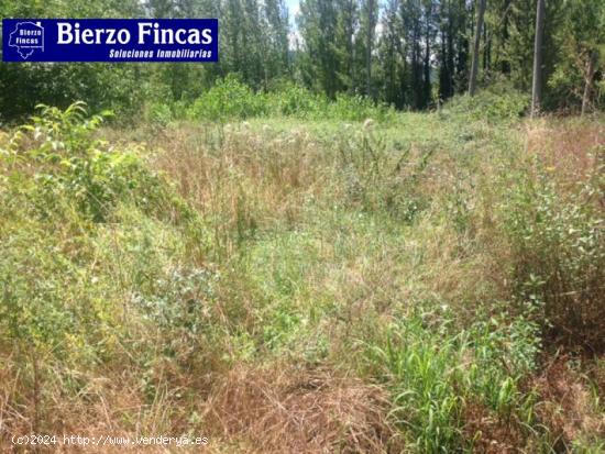 Se vende finca rustica en Dehesas - LEON