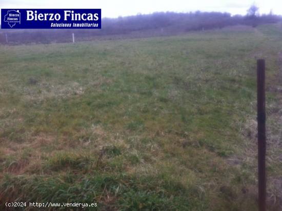  SE VENDE FINCA DE 2000M2 EN SAN ANDRES DE MONTEJOS - LEON 