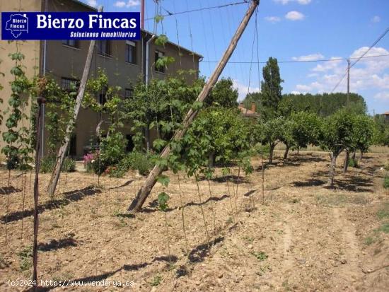 SE VENDE SOLAR EN VILLARES DE ORBIGO - LEON