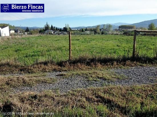 SE VENDE FINCA RUSTICA CERRADA Y CON RIEGO. - LEON