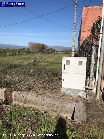 SE VENDE FINCA RUSTICA DONDE MADERAS BLANCO - LEON