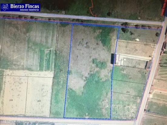 SE VENDE FINCA RUSTICA EN DEHESAS CON BUEN ACCESO - LEON