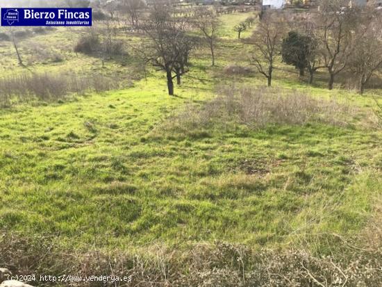 SE VENDE FINCA RUSTICA EN TORAL DE MERAYO (autorizada casa de 25 m2) - LEON