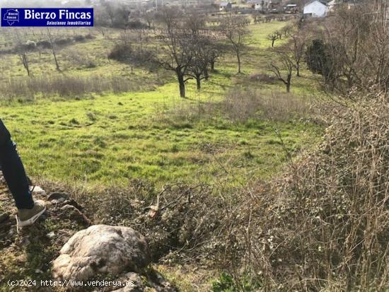 SE VENDE FINCA RUSTICA EN TORAL DE MERAYO (autorizada casa de 25 m2) - LEON