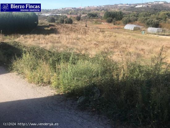  SE VENDE FINCA RUSTICA EN EL CENTRO DE CAMPO - LEON 