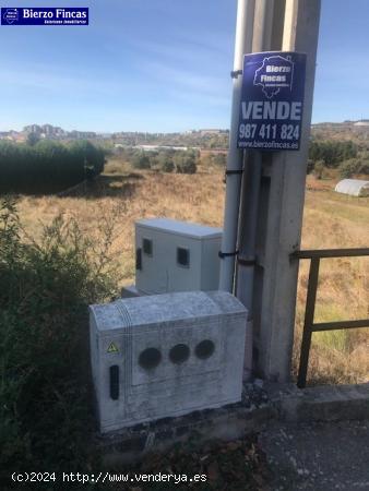 SE VENDE FINCA RUSTICA EN EL CENTRO DE CAMPO - LEON