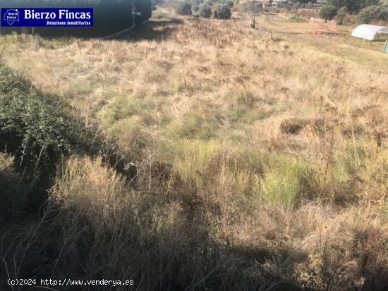 SE VENDE FINCA RUSTICA EN EL CENTRO DE CAMPO - LEON