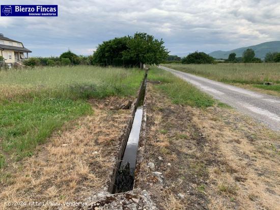 FINCA RÚSTICA EN ZONA DE VILLAVERDE DE LA ABADIA - LEON