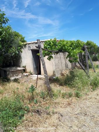 PARCELA EN TÍJOLA , ALMERÍA . - ALMERIA