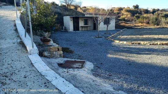 TERRENO URBANIZABLE EN CELA (ALMERÍA), - ALMERIA