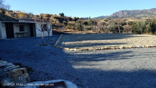 TERRENO URBANIZABLE EN CELA (ALMERÍA), - ALMERIA