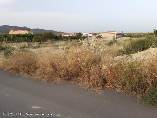 PARCELA EN HUITAR MAYOR, OLULA DEL RÍO, ALMERÍA. - ALMERIA